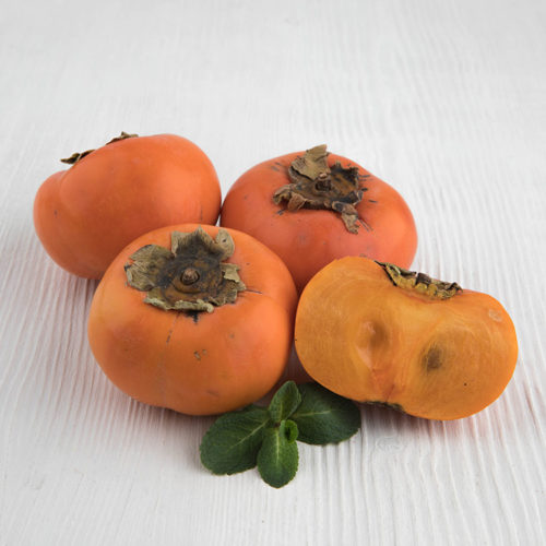 РОССИЯНКА ГАЛ