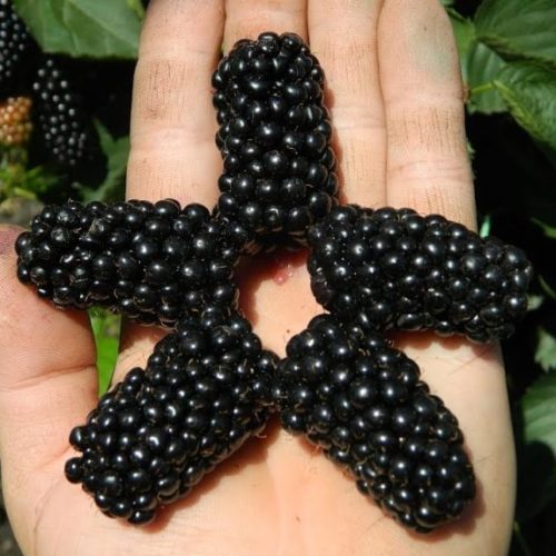 maxresdefault-32-1024x576 (2)