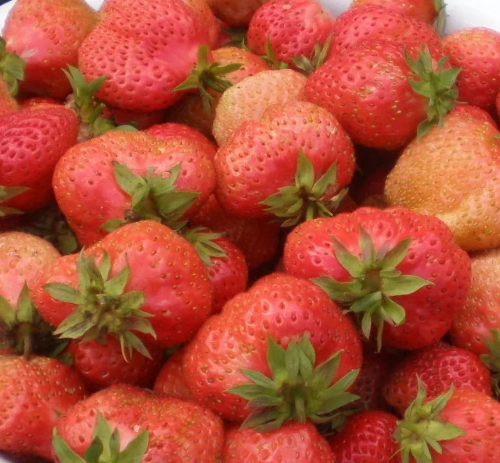 Безымянный