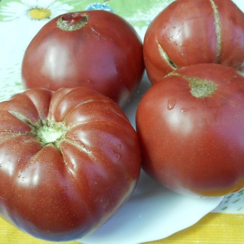 Болгарский дракон