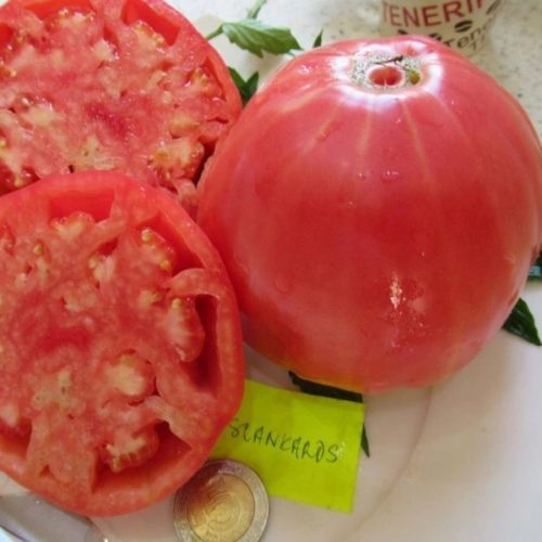Сланкардс