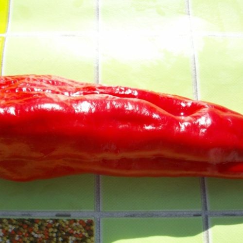 8a03af_8f66a6cd58944bf383c9b4477954f44f_mv2