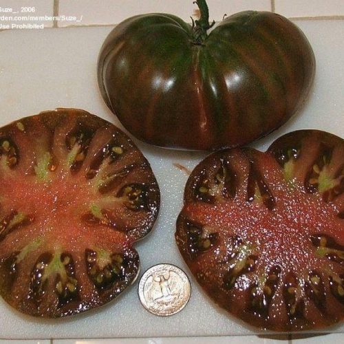 черный из тулы