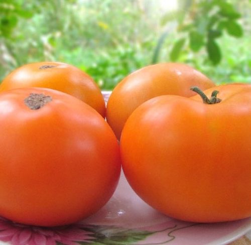 сияющая красота