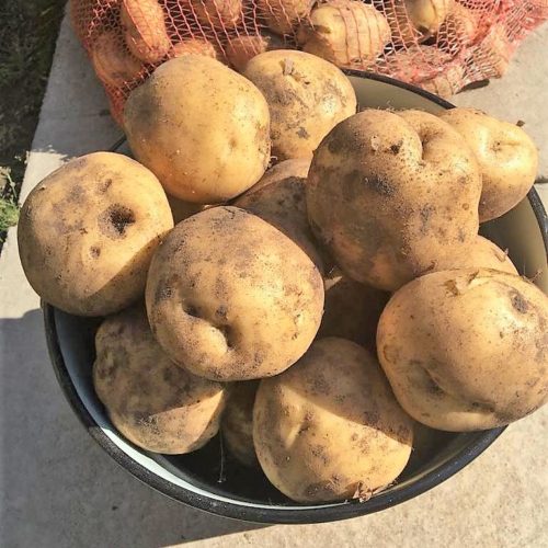 5d74edc3bd36c0275671c1f7 — копия