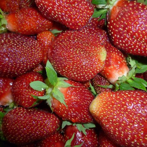 Американка