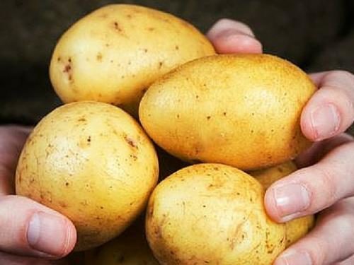 lg_f215ebad123a8bcc423f3101ea7efd0f