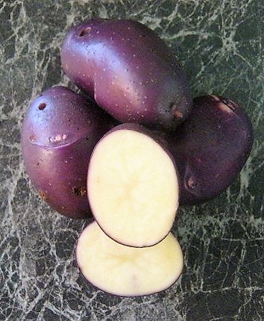 Картофель семенной Голубой Дунай (репродукция элита), 0,5 кг.