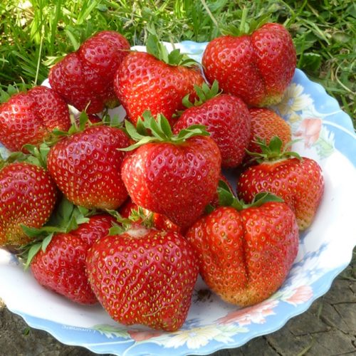 08773b914b361c4103ddaf543b5e64b7