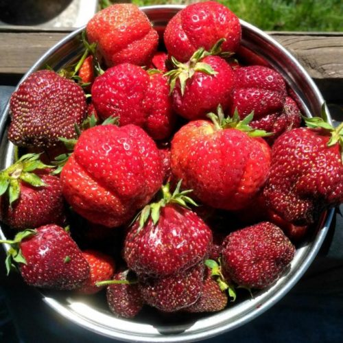 5cd05cecdf53400668693882