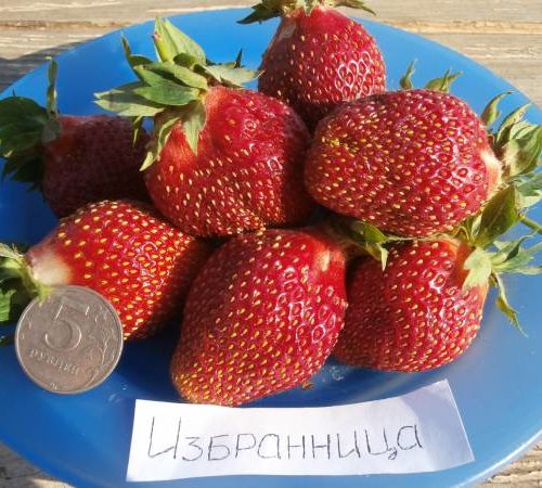 62d2ee1a2ffd4dca89de69cbc06fc8f5