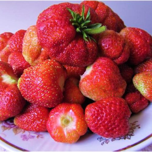 74898786_060211_1542_1