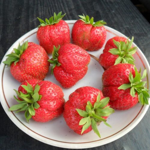 9c57eaffab9b2f1aefe9cc0f2772eab6