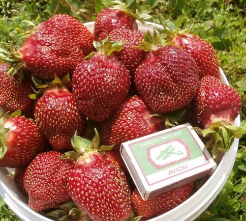 b12a4cb1b5e411eb1644dc9284f5305c