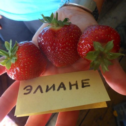 tn3_0_09298400_1524085436