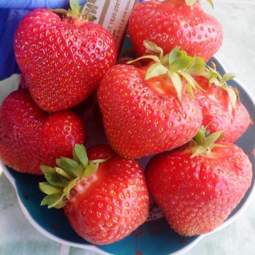 xl_0bf42580-e9a5-40c2-8e52-4b36fad29c69