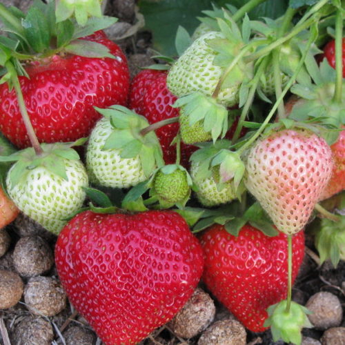 5c1a8b27b58a45c1a8b27b58f1