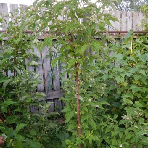 95d96f26149cfa40c0fafc042d379863