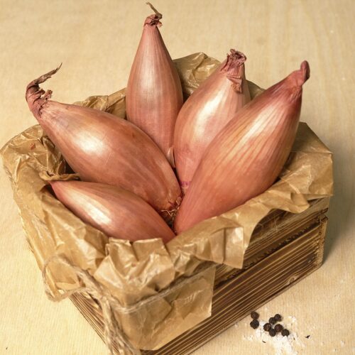 5e7cea01eb21bd42beeb0bdb