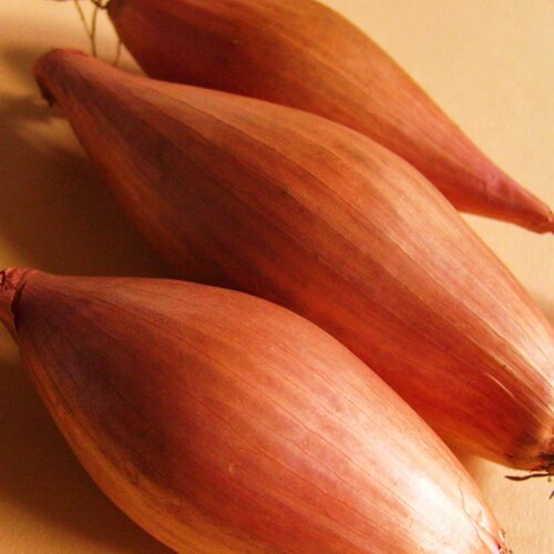 HTB1B4UZc56guuRjy0Fmq6y0DXXaJ