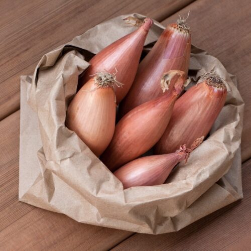 luk_shalot_4_18074017