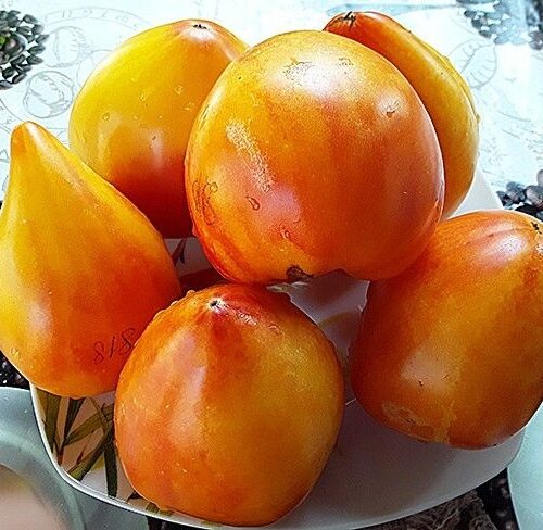 8gYkEZx6Z-8iTFFzYyNdjDMshGrhslg_txxq1m67roHkeYYuF_1qmRp-oqwE1Fx8x1BThAonHHfH0sRftN2XQkuJ