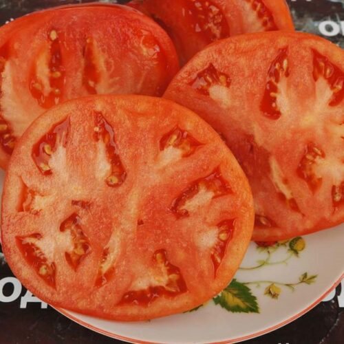 pomidor-lord-minusinskiy-3