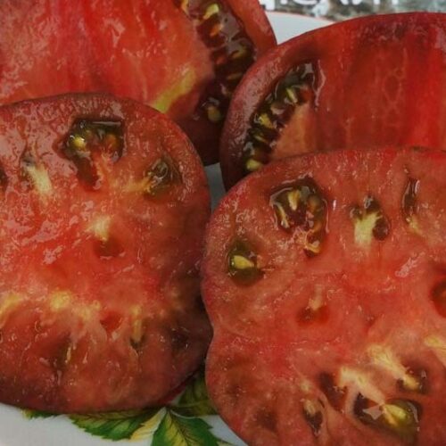 pomidor-myatezhny-zvezdny-istrebitel-bifshteks-marshi-4