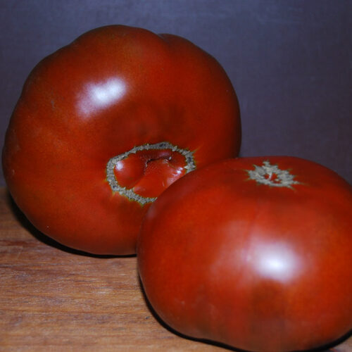 tomato-cherokeechocolate-01
