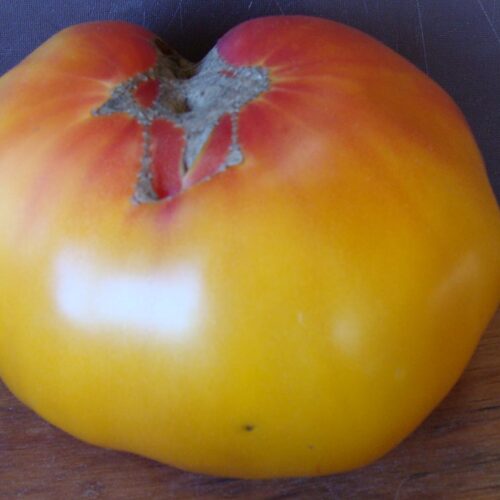 tomato-virginiasweets-01