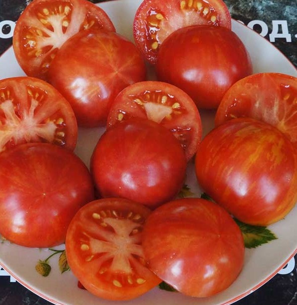 pomidor-bred-geyts-dina-4