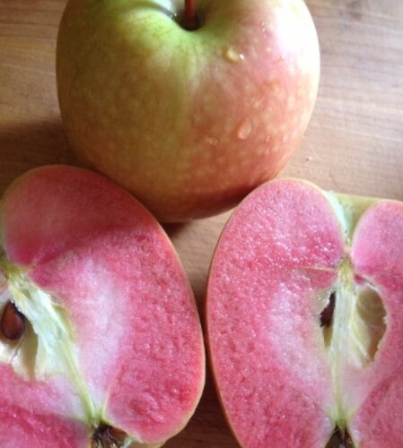 тявпчпатчп