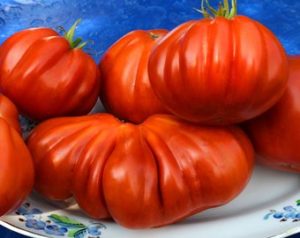 Tomat-Serdce-Albengi-gl-300x238