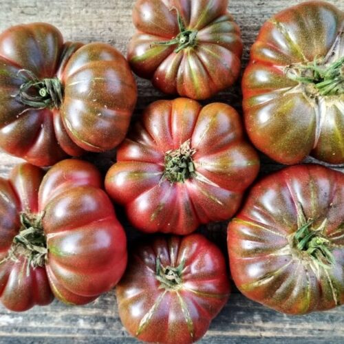 semena-tomata-fioletovaya-tykva-purple-calabash-kupit-s-dostavkoj-po-rf-pochtoj-i-tk