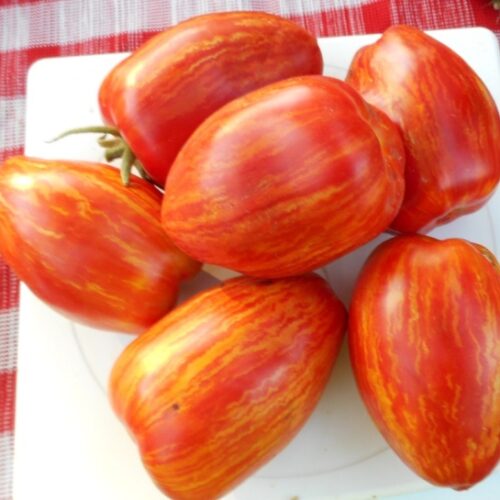 09ee909836497bc81fa790f01a67d0ad81bbc760