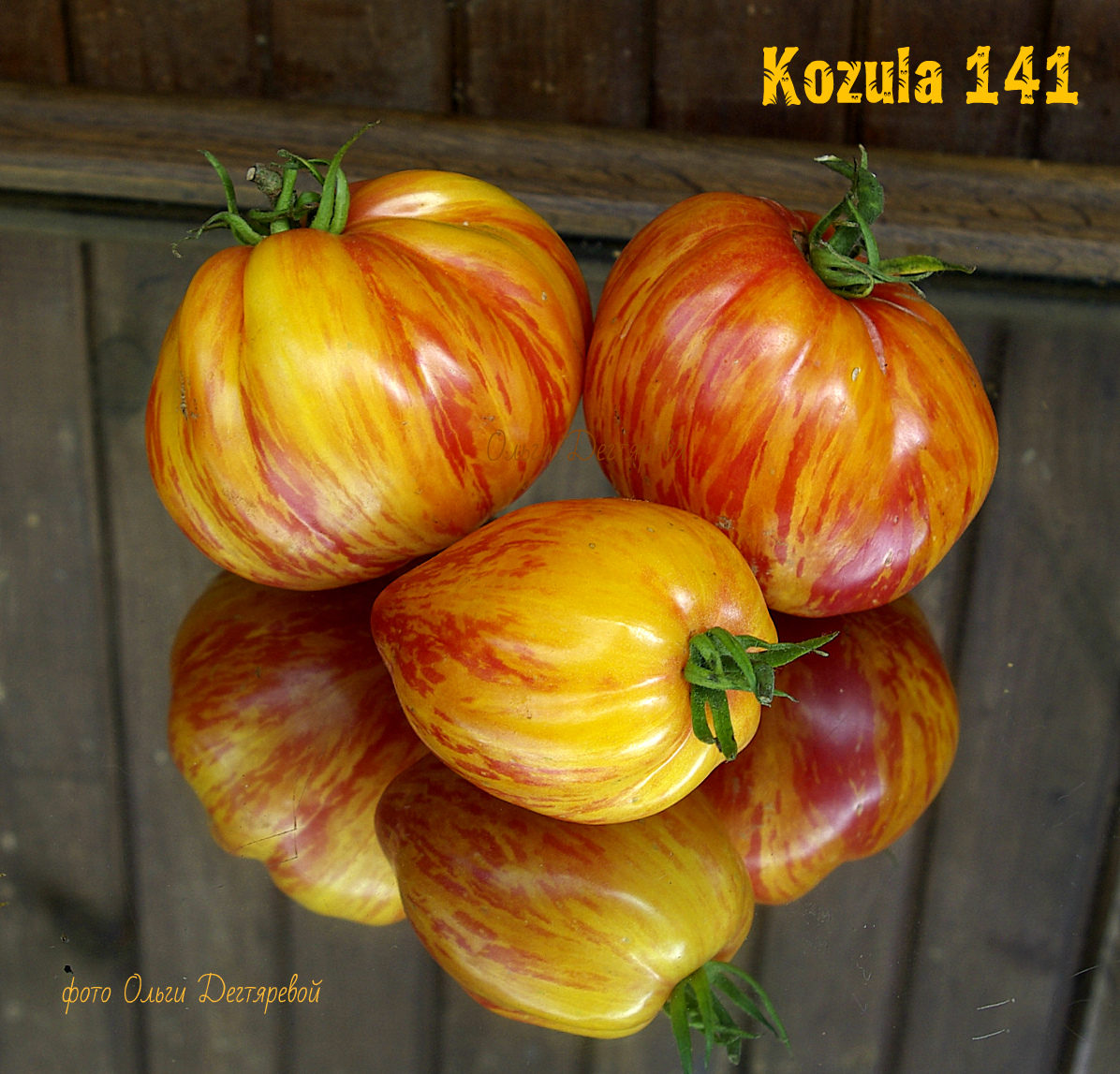 Томат Козула 141 (Kozula 141), Польша, 5 семян
