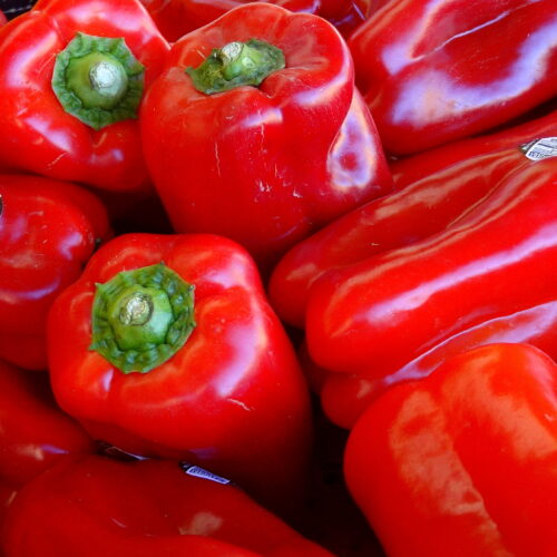 398168e296255faf8e23d246d1c8ba4b