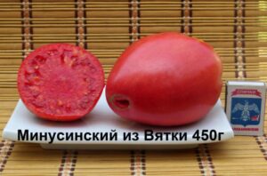 Минусинский из Вятки
