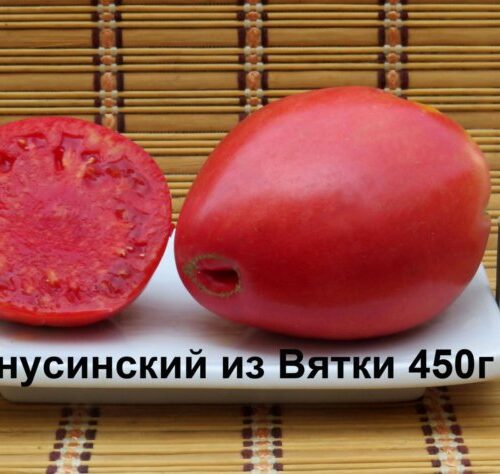 Минусинский из Вятки