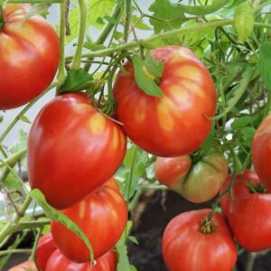 Саяногорский