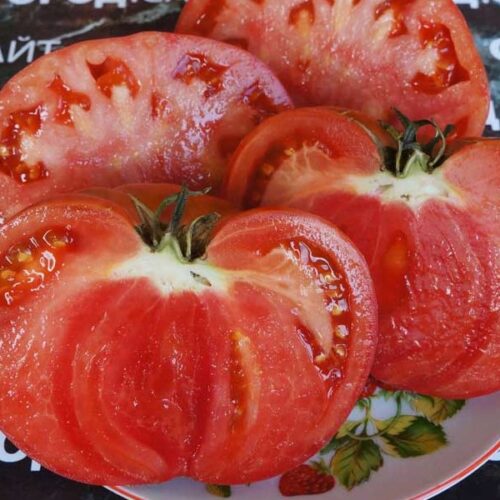 pomidor-syzranskiy-3