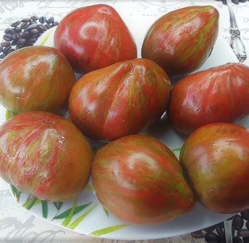 semena-tomat-gnom-purpurniy-serdceed-dwarf-purple-heartthrob_big