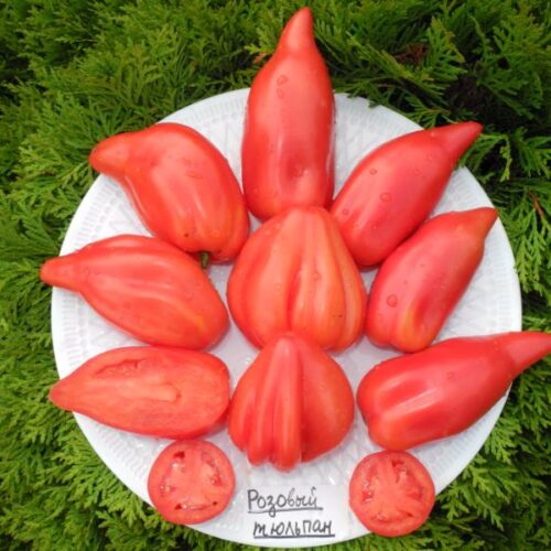 DSCN9108.JPG.0db6b690436c302a7616078eef38dcff