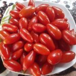semena-tomat-dachtyla-mynoa-dahtila-minoa_big_2 (2)
