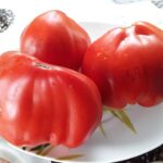semena-tomat-grebeshok-krasniy_big_2