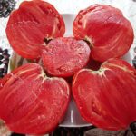 semena-tomat-grebeshok-krasniy_big_3
