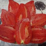 semena-tomat-krasniy-grebeshok-bortnikovih_big_1-500x488