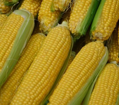 1a3ff222dfc1d1802b945524ee5f8a5ae4d9597f