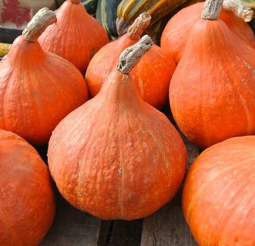 p-8267-winter_squash_potimarron