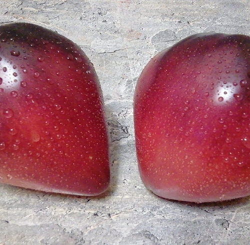 10bd93_2143bd355e264988bae0ece61da13855~mv2